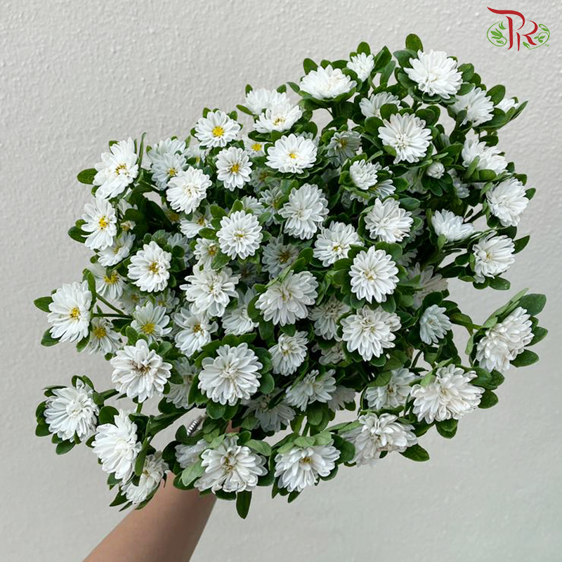 Mini Aster