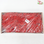 Moss Reindeer (Dried) - Red (Per Box)-Red-Pudu Ria Florist-prflorist.com.my