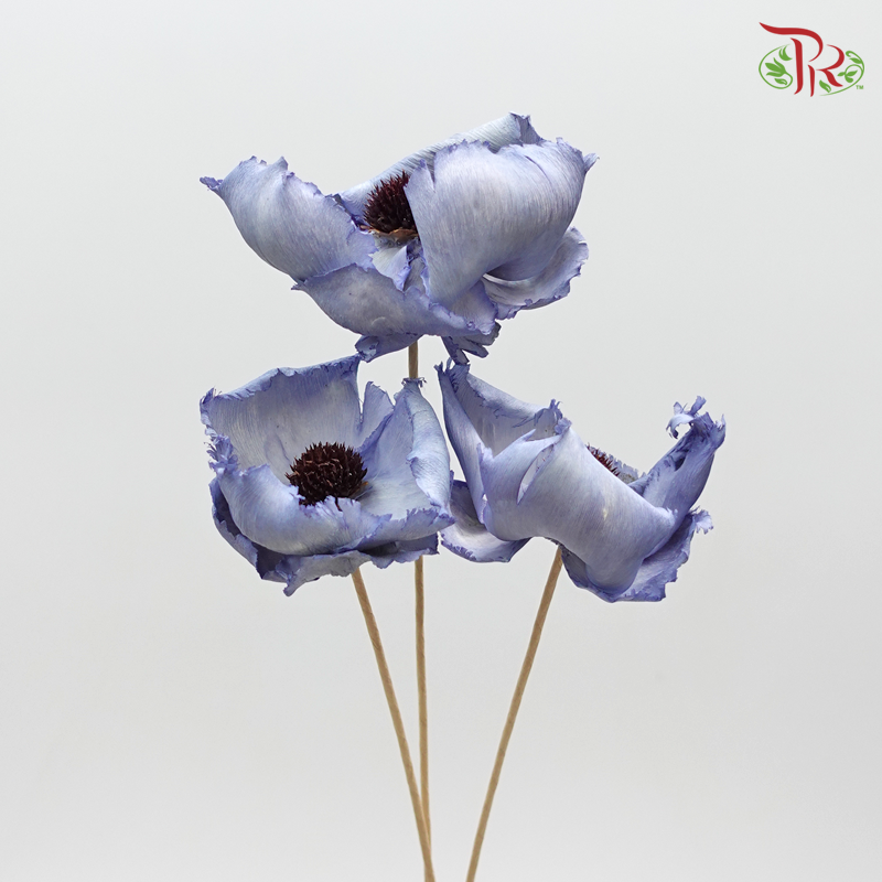 Preserved Palm Flower
