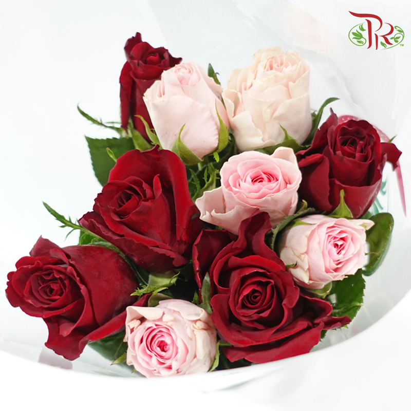 Passion With Gratitude - (Mixed - Kenya Ever Red & Duchess) - (10 Stems Per Bundle)-Kenya-prflorist.com.my