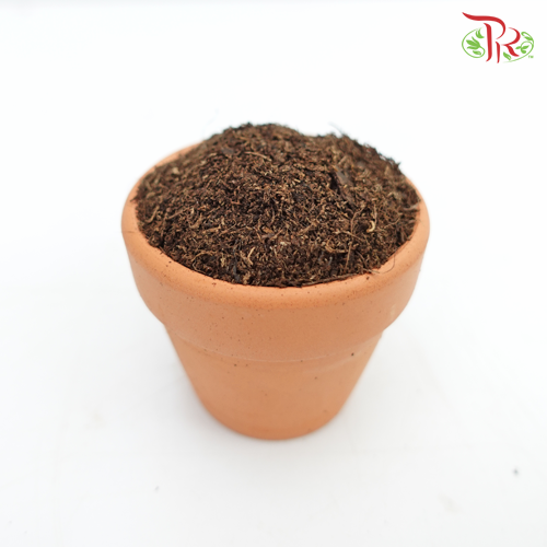 Peatmoss - 1Kg-Pudu Ria Florist-prflorist.com.my