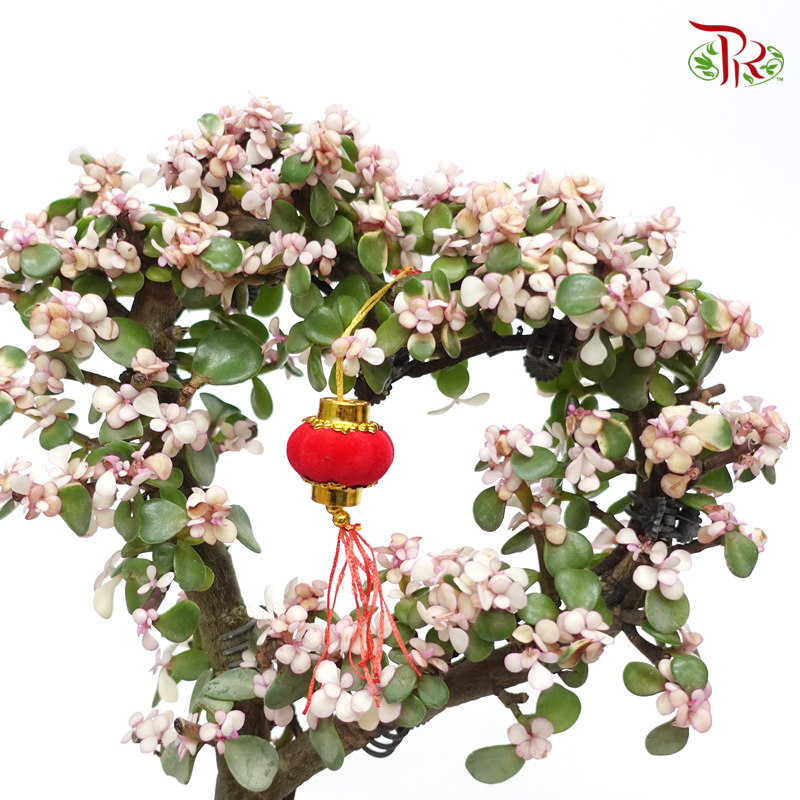 Portulacaria Love Shaped 《金枝玉葉》-Pudu Ria Florist-prflorist.com.my