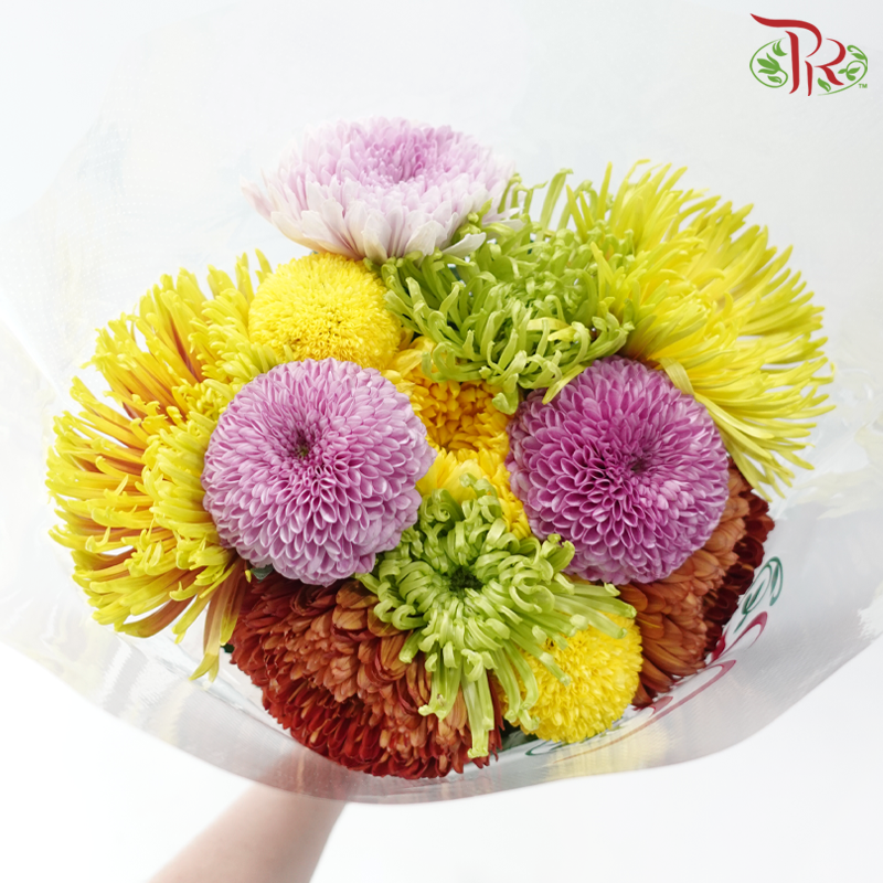 Prayer Bunch - Ping Pong + Net Mum (12 Stems)-Malaysia-prflorist.com.my