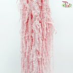 Preservative Amaranthus Hanging - Baby Pink-Baby Pink-China-prflorist.com.my