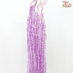 Preservative Amaranthus - Light Purple (Per Bunch)-Light Purple-China-prflorist.com.my