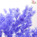 Preserved Asparagus Leaf - Bluish Purple (Per Bunch)-Purple-China-prflorist.com.my