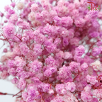 Preserved Baby's Breath - Pink Lilac-Pink-China-prflorist.com.my