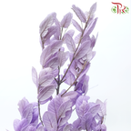 Preserved Chestnuts Leaf - Purple (Per Bunch)-Purple-China-prflorist.com.my