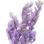 Preserved Chestnuts Leaf - Purple (Per Bunch)-Purple-China-prflorist.com.my