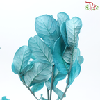 Preserved Chestnuts Leaf - Turquoise (Per Bunch)-Turquoise-China-prflorist.com.my