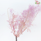 Preserved Cotinus - Pink Purple (Per Bunch)-Pink Purple-China-prflorist.com.my
