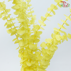 Preserved Eucalyptus Baby Blue Bleached - Yellow (Per Bunch)-Yellow-China-prflorist.com.my