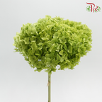 Preserved Hydrangea - Apple Green (Per Stem)-China-prflorist.com.my