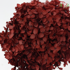 Preserved Hydrangea - Dark Red (Per Stem)-Red-China-prflorist.com.my