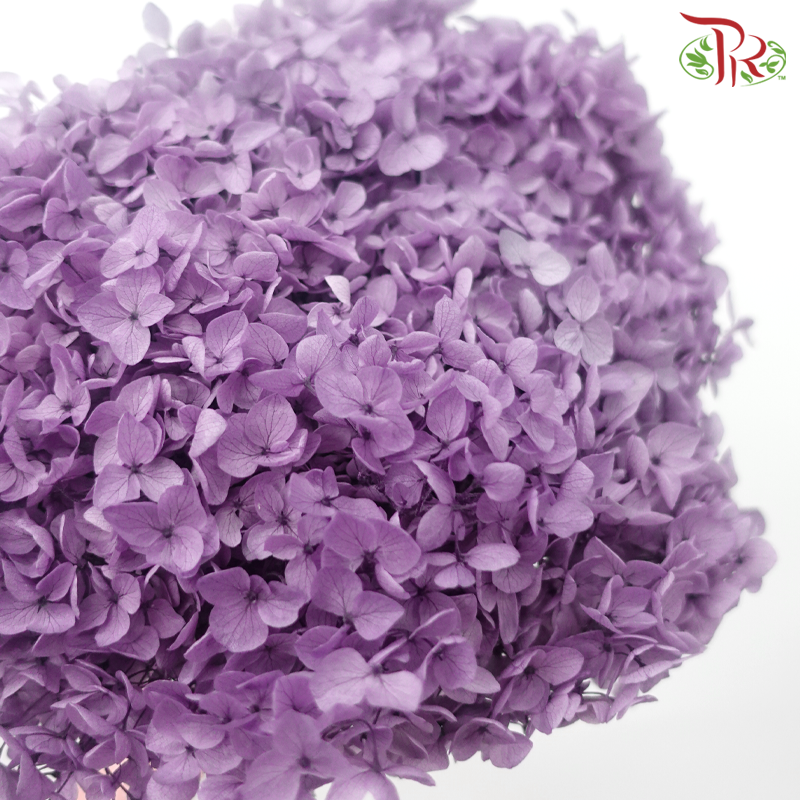 Preserved Hydrangea - Faded Purple (Per Stem)-Purple-China-prflorist.com.my