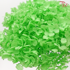 Preserved Hydrangea - Lime Green (Per Stem)-Lime Green-China-prflorist.com.my