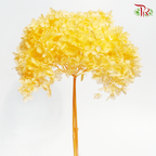 Preserved Hydrangea - Orange (Per Stem)-Orange-China-prflorist.com.my