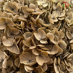 Preserved Hydrangea (Variety Tone)-Brown 1-China-prflorist.com.my