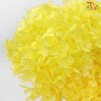 Preserved Hydrangea - Yellow (Per Stem)-Yellow-China-prflorist.com.my