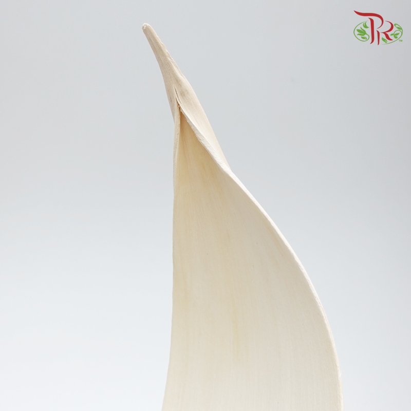 Preserved Palm Boat White - (5204-0-011)-White-Japan-prflorist.com.my