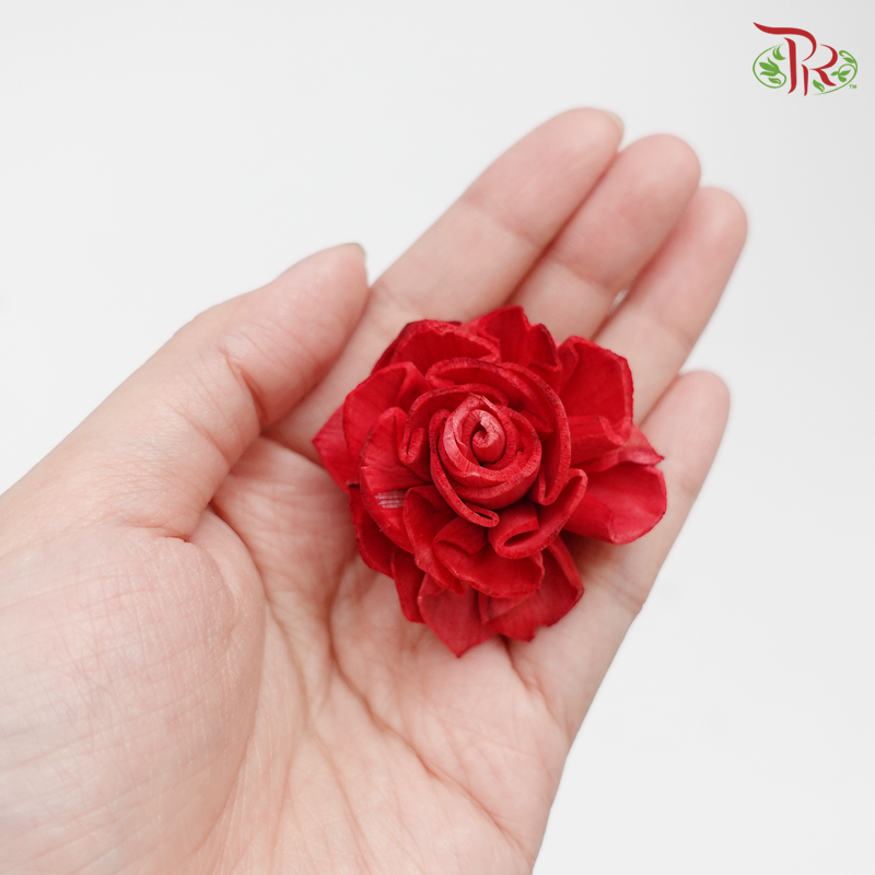 Preserved Sola Dahlia Head-Red-Japan-prflorist.com.my