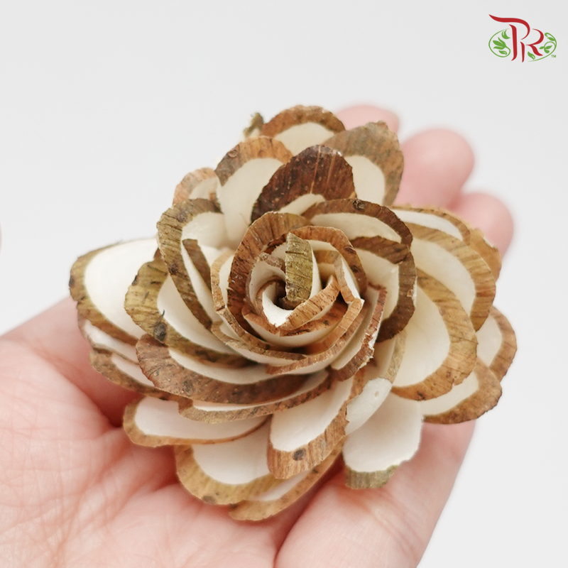 Preserved Sola Mini Dahlia (12 pcs) (3280-0-000)-Brown-Japan-prflorist.com.my