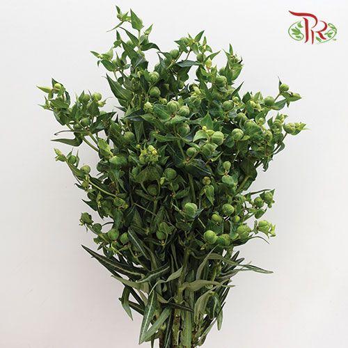 Prunu - (Per Bunch)-China-prflorist.com.my