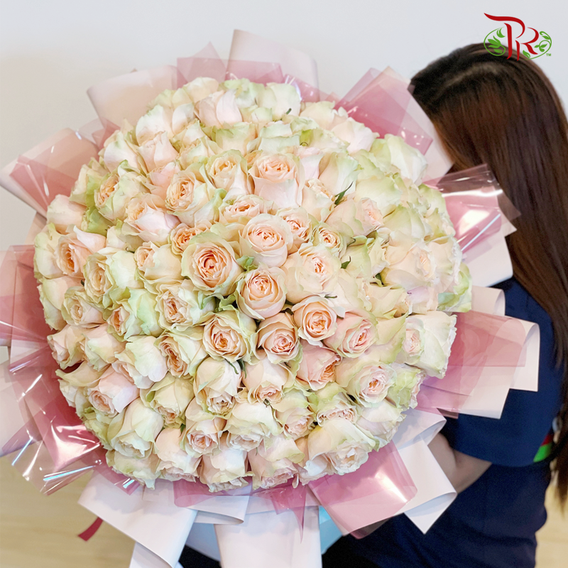 V10- 99 Stems Colour Roses ( XL Hand Bouquet) - Pudu Ria Florist