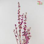 Callicarpa - Purple (Per Bunch) - Pudu Ria Florist