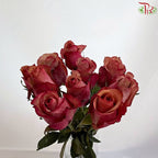 Rose (50CM)