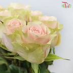 Rose (60cm)