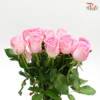 Rose Fontana - Revival (10 Stems)-Pink-Kenya-prflorist.com.my