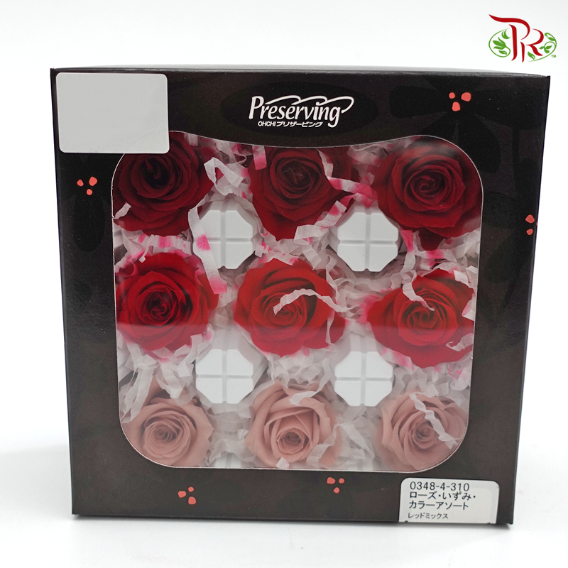 Preserved Rose Izumi