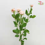 Rose Spray Butterfly - Pink (10 Stems)-Pink-China-prflorist.com.my