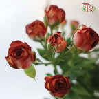 Rose Spray