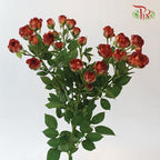 Rose Spray
