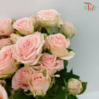 Rose Spray