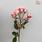 Rose Spray
