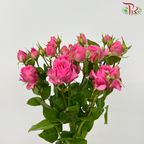 Rose Spray