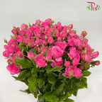 Rose Spray
