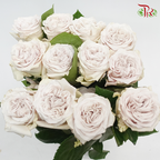 Rose - Westminster Abbey (10 Stems)-Grey-Kenya-prflorist.com.my