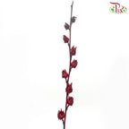 Roselle (per bunch) 《洛神花》