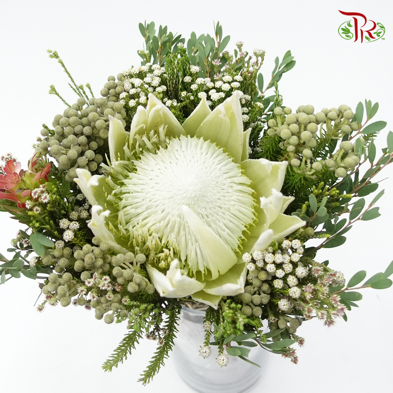 Safari Arctic Ice Bouquet - (Per Bunch) **Random Choose Cone/Fillers-Cream-Africa-prflorist.com.my