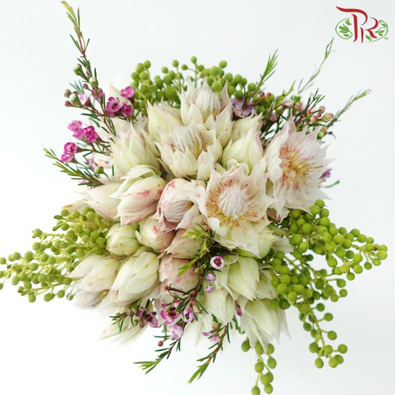 Safari Blushing Bride Bouquet - #6 (Per Bunch) **Random Choose Cone/Fillers-Africa-prflorist.com.my