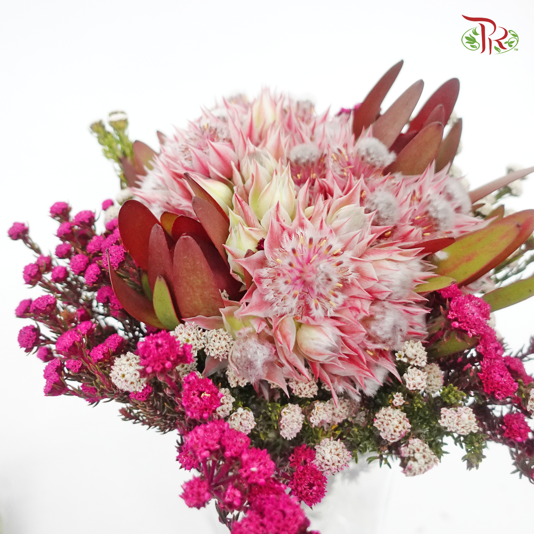 Safari Blushing Bride Bouquet - (Per Bunch)-Pink-Africa-prflorist.com.my