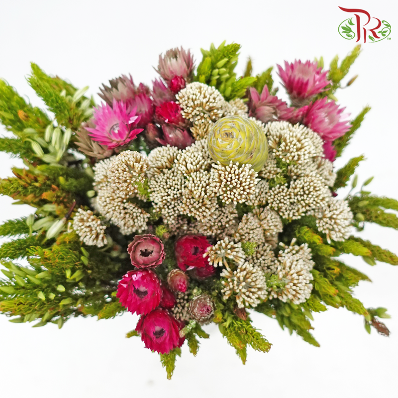 Safari Cape Cone Mix Bouquet - #17 (Per Bunch) **Random Choose Cone/Fillers-Africa-prflorist.com.my