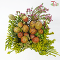 Safari Cape Cone Mix Bouquet - #19 (Per Bunch) **Random Choose Cone/Fillers-Africa-prflorist.com.my