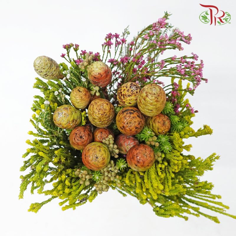 Safari Cape Cone Mix Bouquet - #19 (Per Bunch) **Random Choose Cone/Fillers-Africa-prflorist.com.my