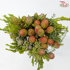 Safari Cape Cone Mix Bouquet - #20 (Per Bunch) **Random Choose Cone/Fillers-Africa-prflorist.com.my