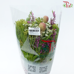 Safari Cape Cone Mix Bouquet - #21 (Per Bunch) **Random Choose Cone/Fillers-Africa-prflorist.com.my